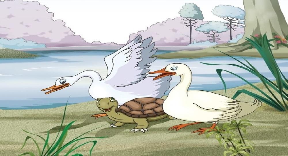 Moral Story The Ducks And The Tortoise 1 - Moral Story ‣ The Ducks And The Tortoise