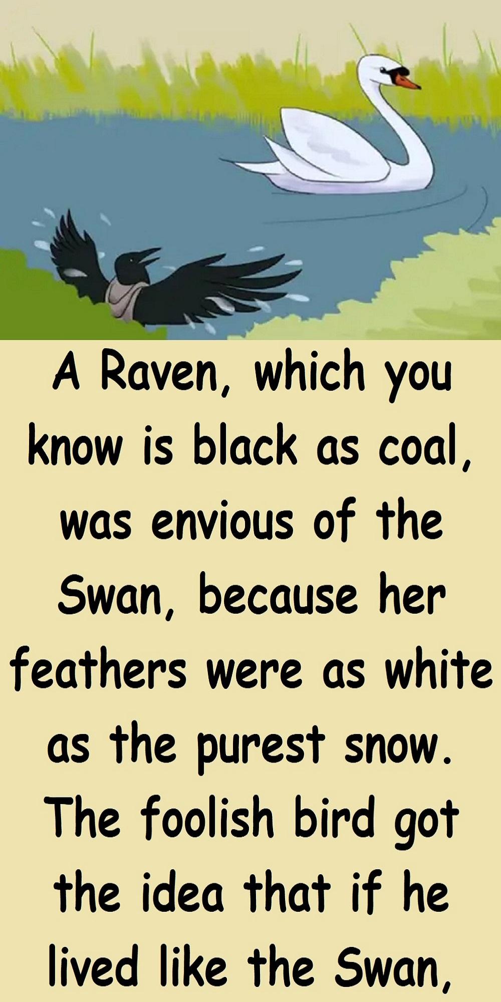 Moral Story A Raven And A Swan p - Moral Story