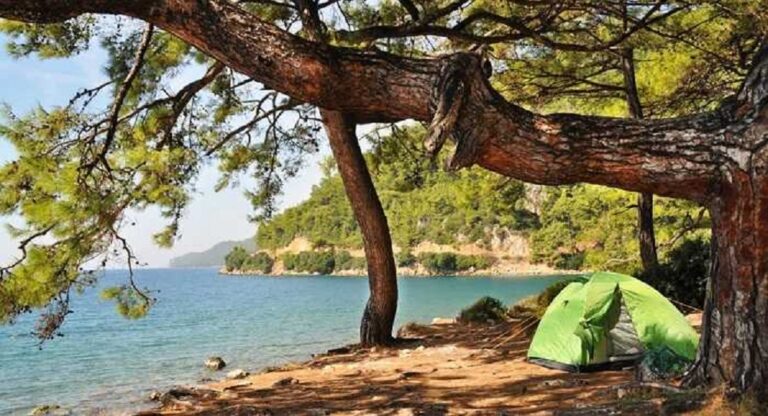 Camping Holiday Reservation