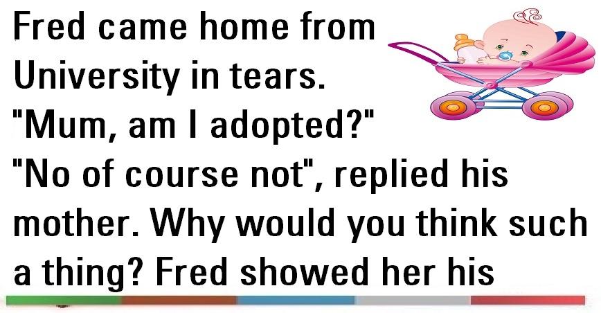 Funny Joke ‣ Am I Adopted?