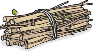 class 3 english lesson 8 the bundle of sticks