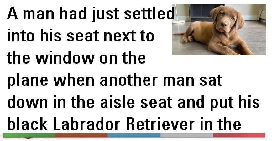 Funny Joke ‣ Labrador Retriever In Flight | Satibal