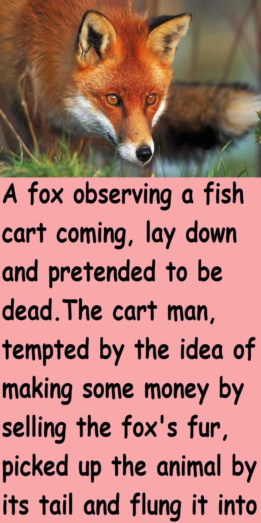 Moral Story Fox in the Cart p -