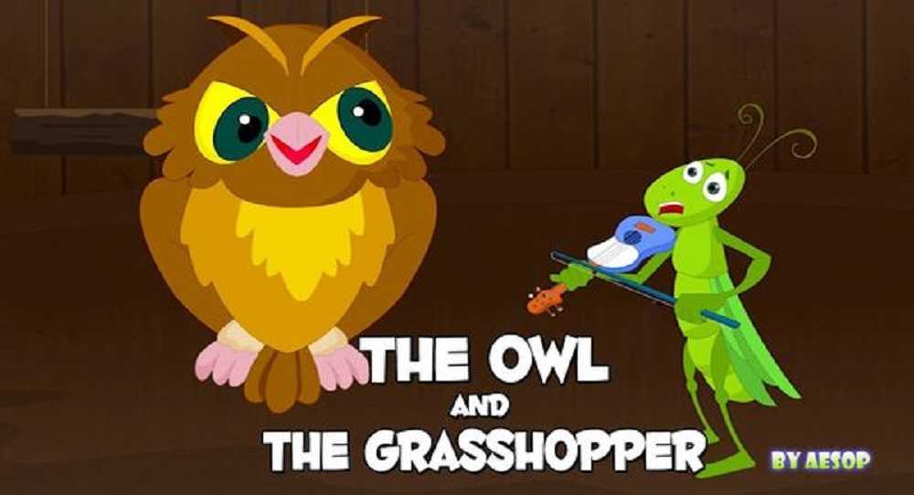 The Owl And The Grasshopper 1 - Moral Story ‣ The Owl And The Grasshopper